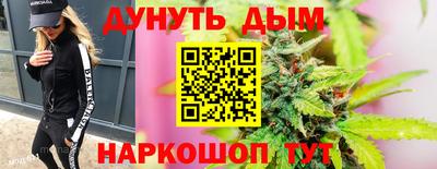индика Славгород