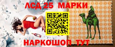 индика Славгород