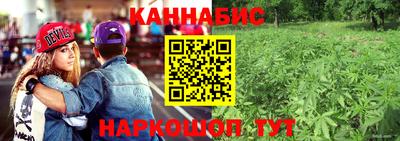 индика Славгород