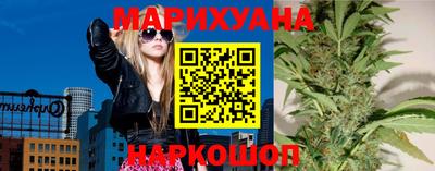 индика Славгород