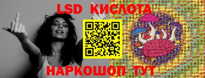 индика Славгород