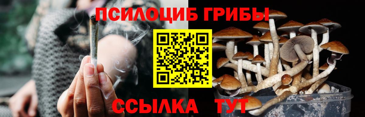 Псилоцибиновые грибы Magic Shrooms Наро-Фоминск
